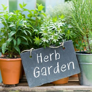 Garden Center at The Gallup Home Depot in Gallup, NM 87301